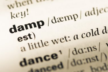 Eski İngilizce sözlük sayfası word nem ile yakın çekim