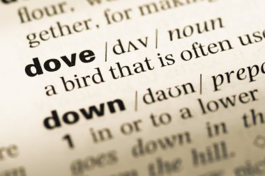 Eski İngilizce sözlük sayfası word güvercin ile yakın çekim