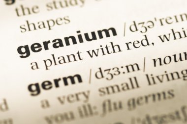 Eski İngilizce sözlük sayfası word Sardunya ile yakın çekim