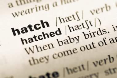 Eski İngilizce sözlük sayfası word depoları, yakın çekim