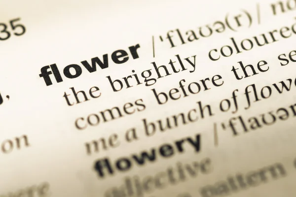 Eski İngilizce sözlük sayfası word çiçek ile yakın çekim — Stok fotoğraf