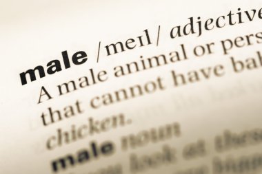 Eski İngilizce sözlük sayfası word erkek ile yakın çekim