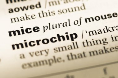Eski İngilizce sözlük sayfası word fareler ile yakın çekim
