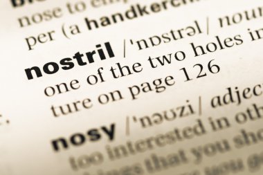 Eski İngilizce sözlük sayfası word burun deliği ile yakın çekim