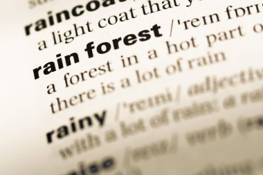 Eski İngilizce sözlük sayfası word yağmur ormanı ile yakın çekim