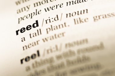 Eski İngilizce sözlük sayfası word reed ile yakın çekim