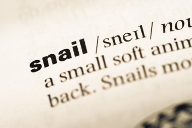 Eski İngilizce sözlük sayfası word salyangoz ile yakın çekim