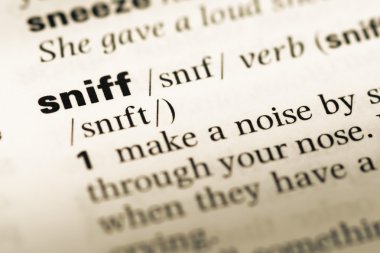 Eski İngilizce sözlük sayfası word sniff ile yakın çekim