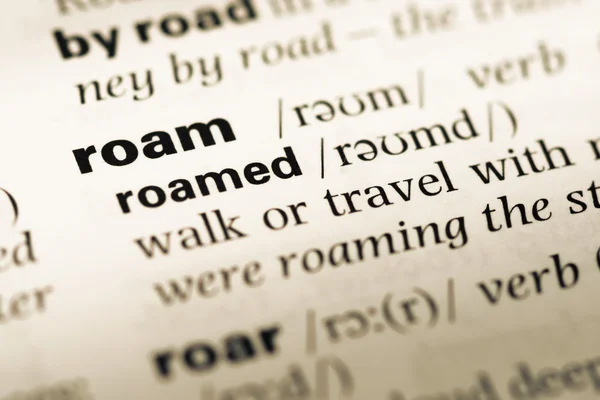 Gros plan sur la vieille page du dictionnaire anglais avec word roam — Photo