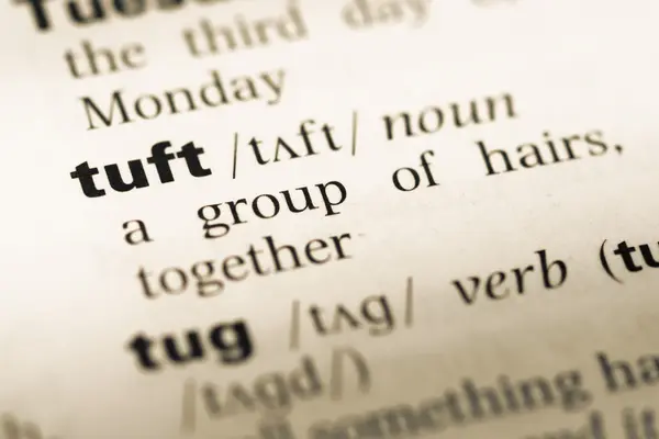 Fechar a página do dicionário de Inglês antigo com palavra tuft — Fotografia de Stock