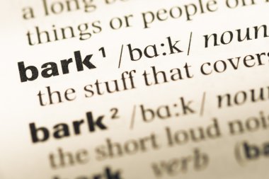 Eski İngilizce sözlük sayfası word kabuğu ile yakın çekim