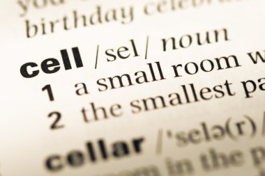 Eski İngilizce sözlük sayfası word hücre ile yakın çekim