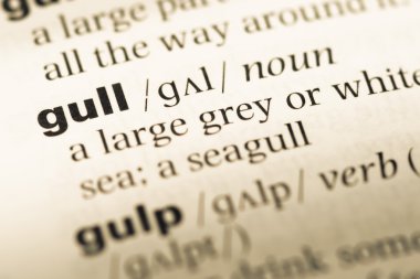 Eski İngilizce sözlük sayfası word martı ile yakın çekim