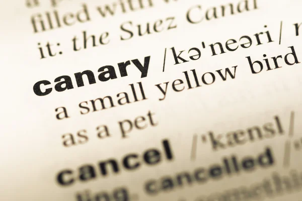 Close up of old English dictionary page with word canary — Stock Photo, Image