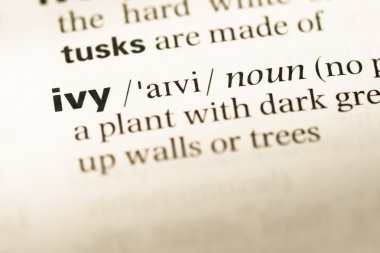 Eski İngilizce sözlük sayfası word Ivy ile yakın çekim