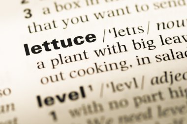 Eski İngilizce sözlük sayfası word marul ile yakın çekim