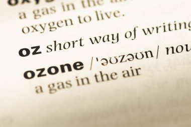 Eski İngilizce sözlük sayfası word oz ile yakın çekim