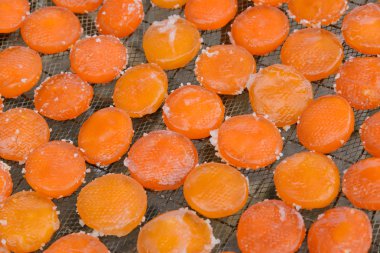 tuzlu ve kurutulmuş ördek yumurta sarısı