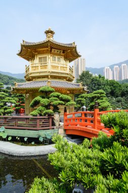 Nan Lian Garden, Chi Lin Nunnery, Hong Kong 'daki doğu pavyonu