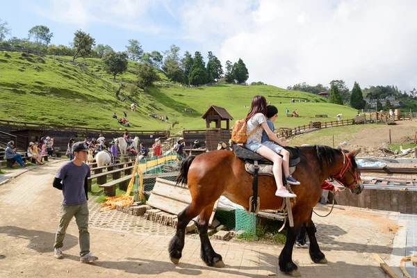 CINGJING - TAIWAN, JULY 11 2014: Cingjing farm JULY 11 2014 in Cingjing, Cingjing farm has become the most attractive tourist point in Taiwan.