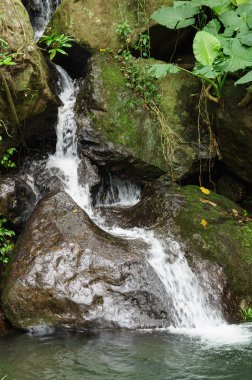 Tüm Hong Kong'da küçük şelale görünümünü