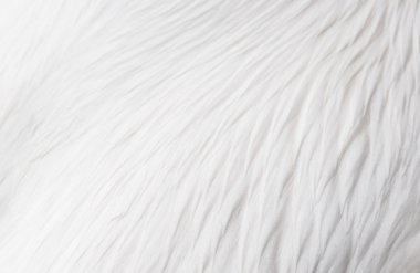 Beyaz tüy dokusu arkaplanı