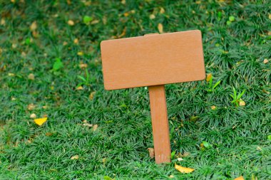 Yeşil çim üzerinde boş kart 