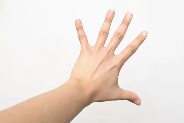 Mano Izquierda Abierta Sobre Fondo Blanco — Foto de Stock