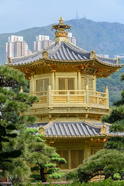 O pavilhão oriental de perfeição absoluta em Nan Lian Garden, Chi Lin Nunnery, Hong Kong — Fotografia de Stock