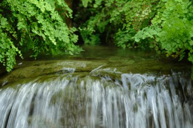 Hong Kong'daki küçük şelale