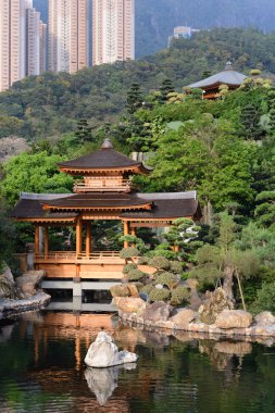 Nan Lian Garden, Chi Lin Nunnery, Hong Kong 'daki doğu pavyonu
