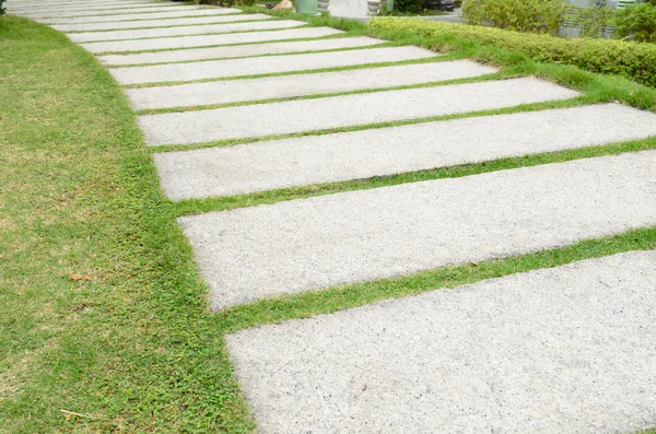 Каменный Путь Траве — стоковое фото