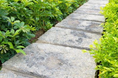 Bahçedeki taş geçit.