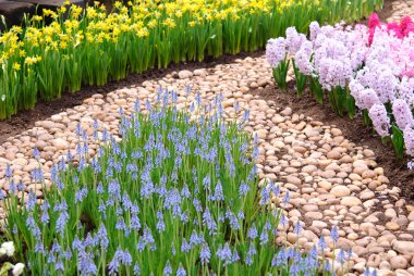 Pembe, sarı ve mor çiçek alanı