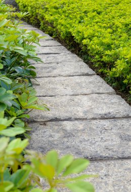 Bahçedeki taş geçit.