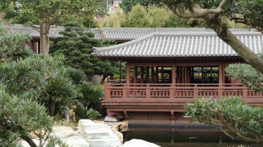 Nan Lian Bahçe, Chi Lin Nunnery, Hong Kong'da mutlak mükemmellik oryantal Tapınağı