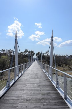 Güneşin altında ahşap köprü