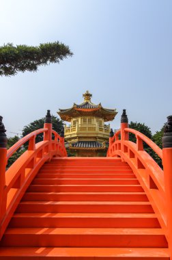 Nan Lian Bahçe, Chi Lin Nunnery, Hong Kong'da mutlak mükemmellik oryantal altın köşk