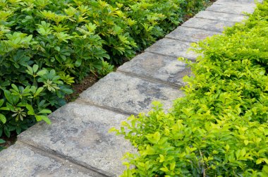 Bahçedeki taş geçit.