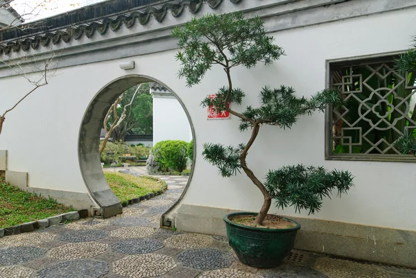 Traditional Chinese garden in Hong Kong — Stock Photo, Image