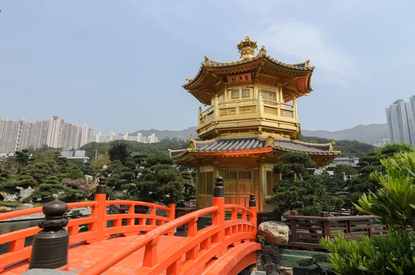 Le pavillon oriental en or d'une perfection absolue dans le jardin de Nan Lian, Nunnery de Chi Lin, Hong Kong — Photo