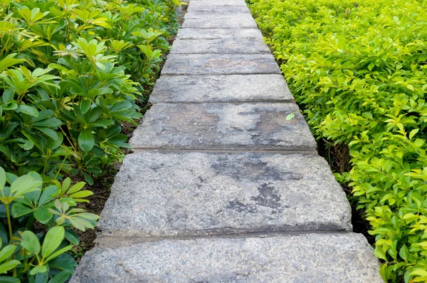 Pasarela Piedra Jardín — Foto de Stock