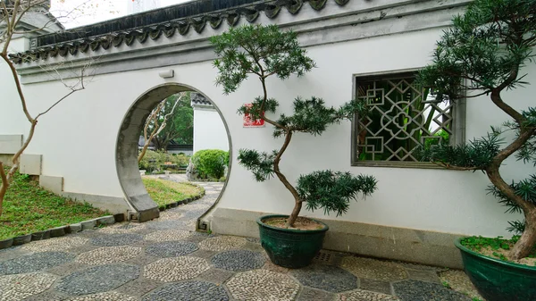 Traditional Chinese garden in Hong Kong — Stock Photo, Image