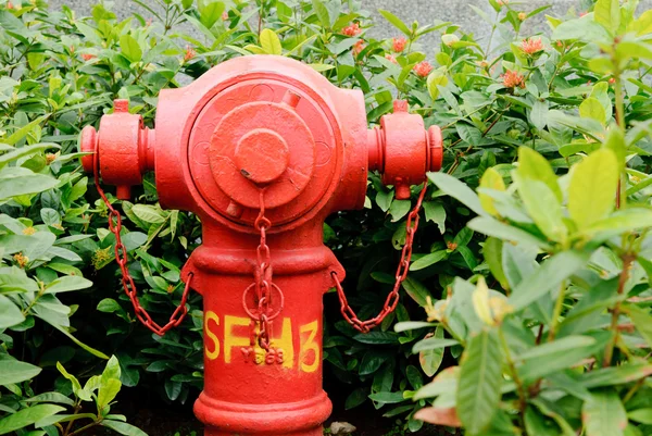 Red Fire Hydrant Grön Växt Bakgrund — Stockfoto