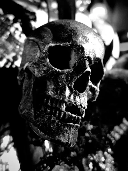 Cráneo Negro Cerca — Foto de Stock