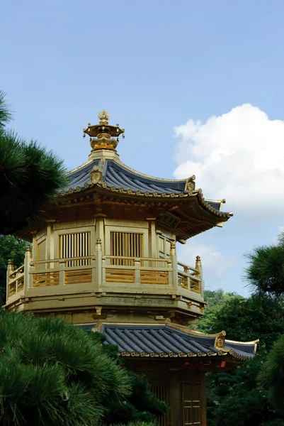 Le pavillon oriental en or d'une perfection absolue dans le jardin de Nan Lian, Nunnery de Chi Lin, Hong Kong — Photo