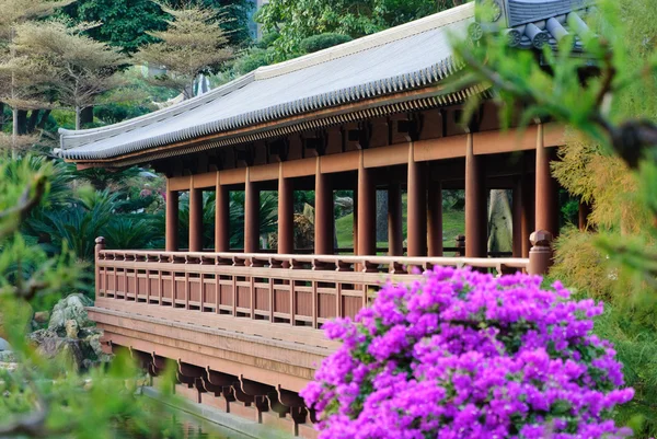 Le temple oriental de la perfection absolue dans le jardin de Nan Lian, Nunnery de Chi Lin, Hong Kong — Photo