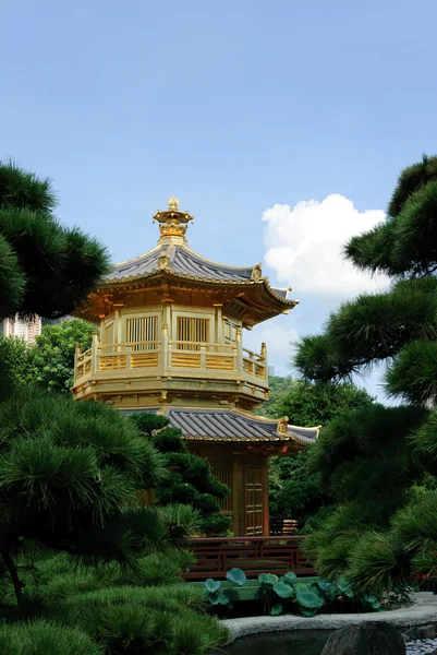 The oriental gold pavilion of absolute perfection in Nan Lian Garden, Chi Lin Nunnery, Hong Kong — Stock Photo, Image