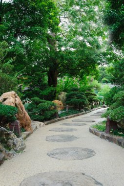 Taş yol her iki tarafında bir ağaç