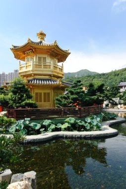 Nan Lian Bahçe, Chi Lin Nunnery, Hong Kong'da mutlak mükemmellik oryantal altın köşk
